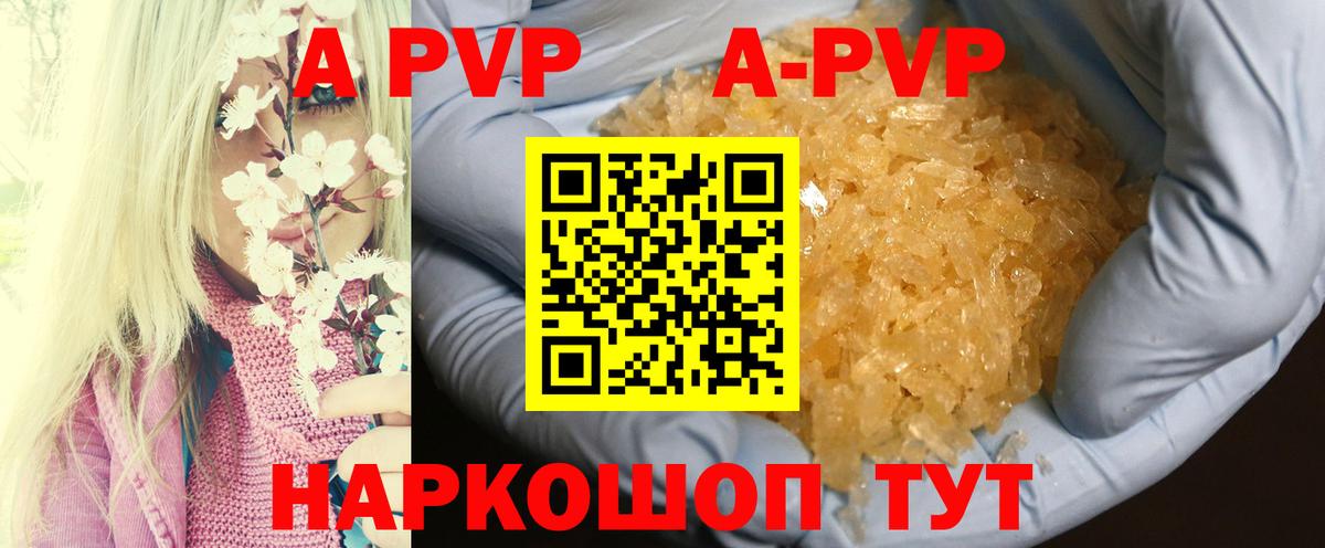 A-PVP СК Кирово-Чепецк
