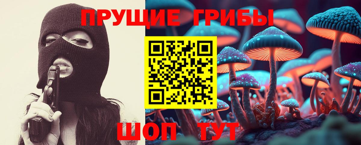Псилоцибиновые грибы мицелий  Вход с VPN  Кирово-Чепецк 